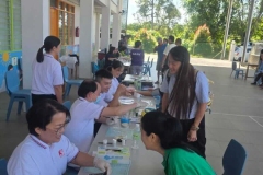 26